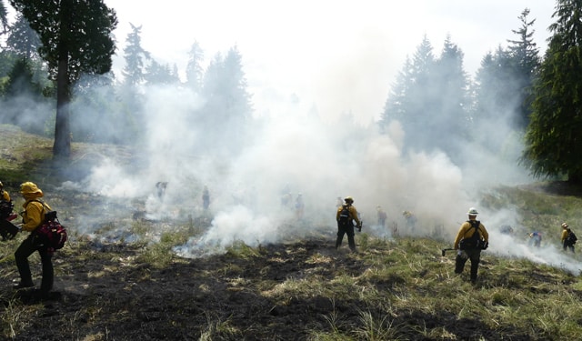 Firemen putting out a field fire.