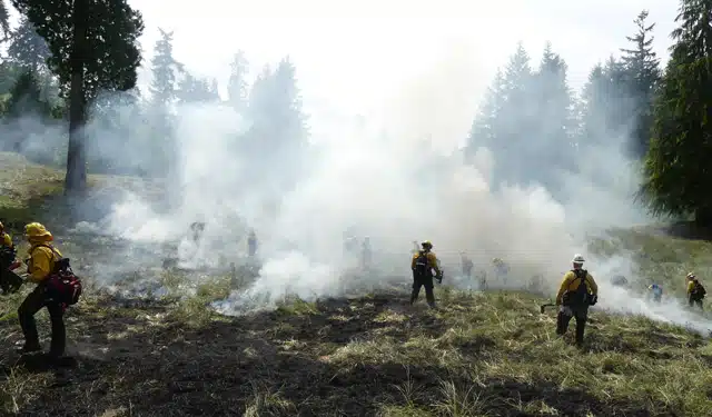 Firemen putting out a field fire.